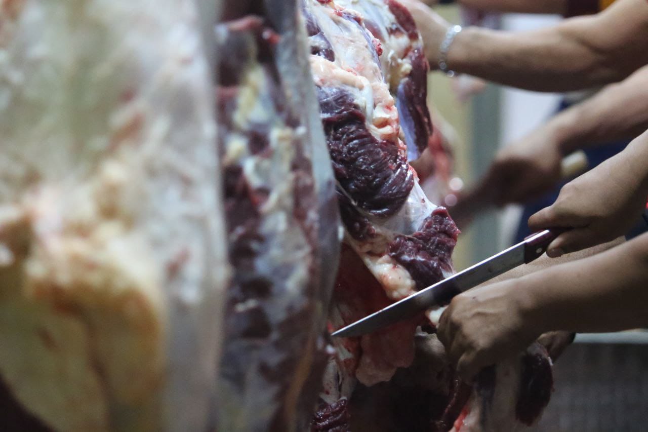 Pemotongan Daging Kurban